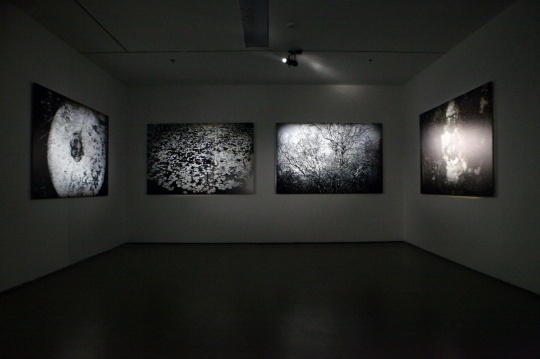 展覽現(xiàn)場(chǎng)，葉錦添“流觀”“流音”攝影作品
