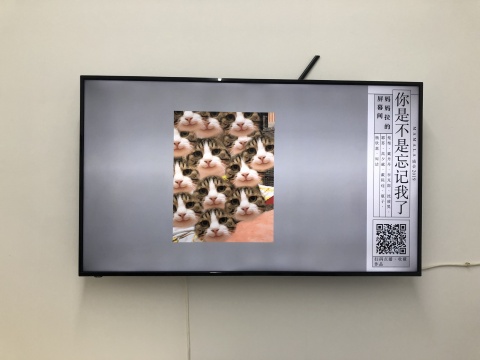 “媽媽拉的屏幕間”
