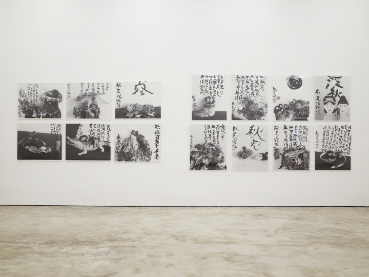 亦安畫(huà)廊遷址七棵樹(shù)之后的首個(gè)展覽“荒木經(jīng)惟·朱新建——天上大風(fēng)”展覽現(xiàn)場(chǎng)（??亦安畫(huà)廊）

