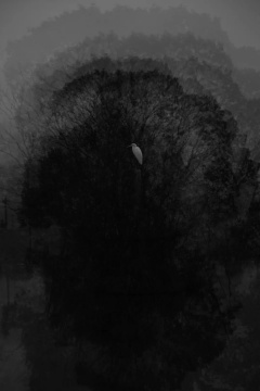 《歸去-1》80×53.3cm 無酸 收藏藝術(shù)紙 2017
