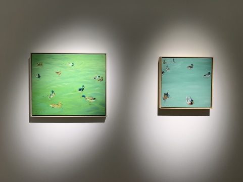 《鴨子》50×60cm 布面丙烯 2019、《鴛鴦》40×40cm 布面丙烯 2019
