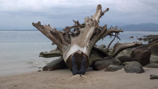 《樹根》，2019，行為，金之島，馬來西亞，單頻錄像（彩色，有聲），11'48