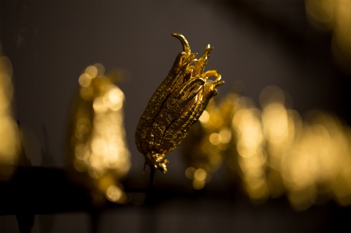 《器世間》佛手、金箔 尺寸可變 2019
