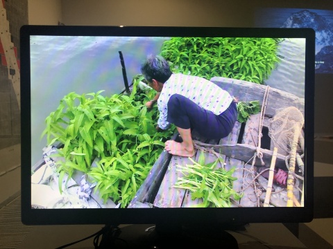 “地理饑餓”  當(dāng)代社會(huì)的土地病理學(xué)