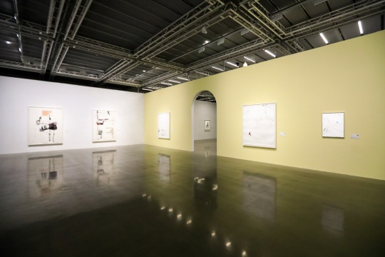 何翔宇展出了“口腔計(jì)劃”在不同階段的創(chuàng)作
