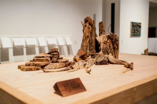 “知行-任志強(qiáng)首次公益大型木作展” 呼喚對(duì)自然的敬畏與愛(ài)護(hù)
