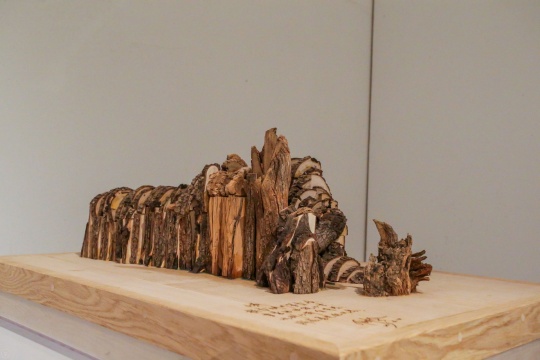 “知行-任志強(qiáng)首次公益大型木作展” 呼喚對(duì)自然的敬畏與愛(ài)護(hù)
