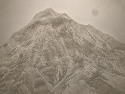 前波畫(huà)廊展出付小桐2017年的作品《孔》
