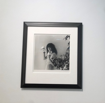 羅伯特·梅普爾索普（Robert Mapplethorpe）拍攝的音樂(lè)人、詩(shī)人帕蒂·史密斯（Patti Smith）的黑白肖像攝影，售價(jià)12.5萬(wàn)美金。因是存世10個(gè)版中的第5版，也是目前唯一流出市面的版本，所以一度引發(fā)藏家爭(zhēng)搶。
