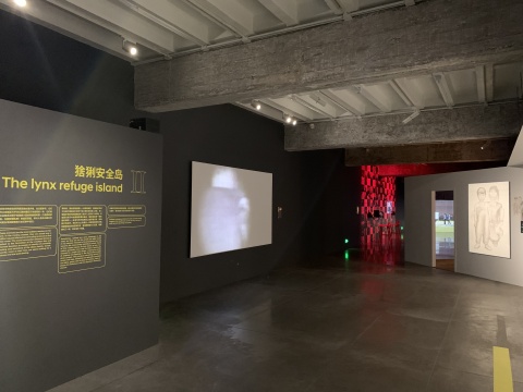 “游戲社會：狼、猞猁和蟻群”展覽現(xiàn)場
