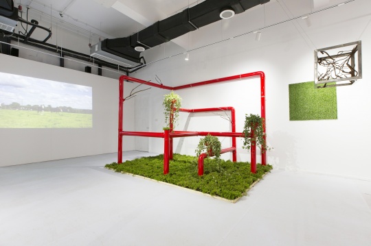 六位年輕藝術家在太湖畔霓美術館，一場當代藝術與植物藝術跨界展