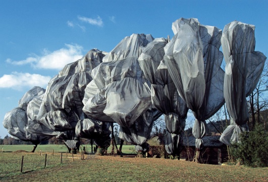 《包裹樹木》 瑞士里恩 1997-98 攝影：Wolfgang Volz ?1998 Christo  
