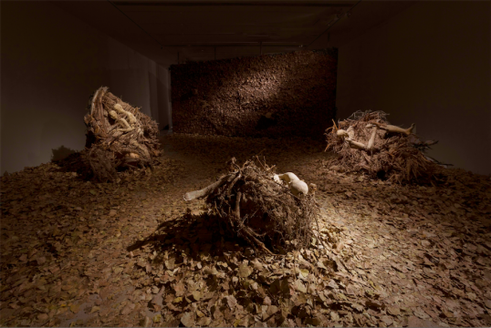 楊畫廊“木艮土”楊淞個展
楊淞用“木”與“土”兩種材料將看不見的地下世界視覺化地呈現(xiàn)出來，他把一塊土地掀起，對世界的認識都呈現(xiàn)在樹底下，愛情、宗教、生死這些宏觀的永恒主題被濃縮在了這塊二十多平方米的泥土上。艮（gèn），本意為“邊界”，也是八卦之一，代表山。
