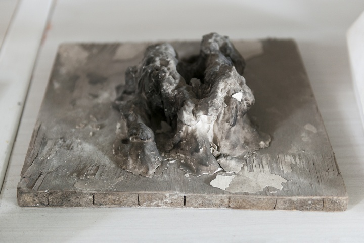 工作室|展望 埃迪亞物的誕生地 工作室|展望 埃迪亞物的誕生地