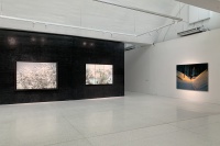 北京索卡新裝亮相，新展“齊觀”開啟2020首展,毛旭輝,洪凌,曾健勇,張英楠,趙夢(mèng),梁琛