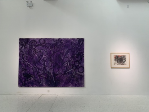 毛旭輝作品，北京索卡展覽現(xiàn)場
