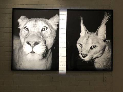 三影堂開幕神思遠 陳榮輝雙個展 用攝影開啟關(guān)于這個世界的另一種版本
