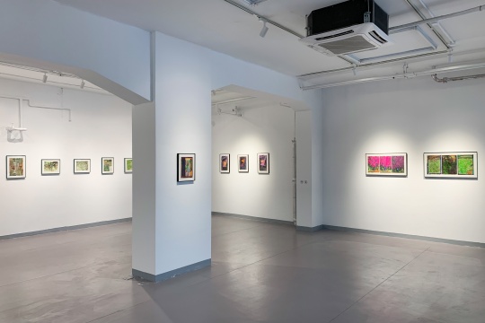 毛旭輝個展“畫·家”展覽現(xiàn)場
