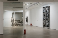 今日美術(shù)館開幕王家增新展  鐵的 “事件”就是彎曲就是世界本身,王家增,汪民安