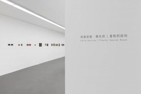 在現(xiàn)在畫廊體會阿德莉婭?桑托莉 喜悅房間的“極端”情感