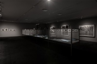 楊福東個(gè)展亮相香格納畫廊，一座無限綿延的山峰,楊福東