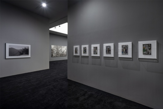 楊福東個展亮相香格納畫廊，一座無限綿延的山峰