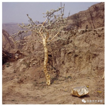 靳勒《貼金-李子樹(shù)》行為藝術(shù) 2005

 
