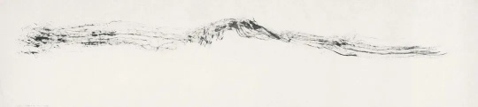 李華生《0824》53 x 234 cm 紙上水墨 2008