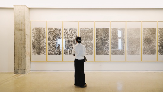 羅旭新展“紅土地上的荷爾蒙”開幕 感受原始能量的沖擊