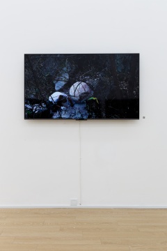 鄭江個展“地珠”，墨方展覽現(xiàn)場
