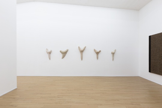 墨方雙空間鄭江個展，將白堊紀(jì)的石頭雕刻成地珠