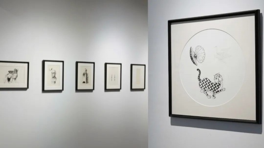 周童作品展覽現(xiàn)場(chǎng)
