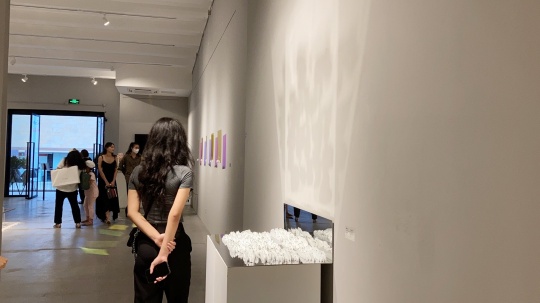 90后藝術(shù)家孫宇，和她那些像女性一樣纖弱而崢嶸的陶瓷
