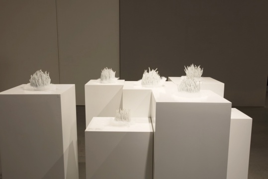 孫宇作品，林大藝術(shù)中心展覽現(xiàn)場(chǎng)
