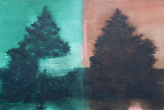 夏炎 《貴州杉》 90x120cm 亞麻油彩 2020

