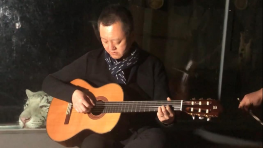 老虎聽到演奏，聞聲趕來靜臥聆聽音樂
