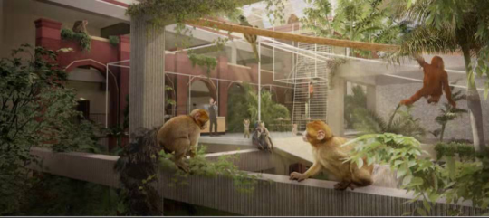 城市爛尾樓變成動物園，建筑師視角下的“解決方案”