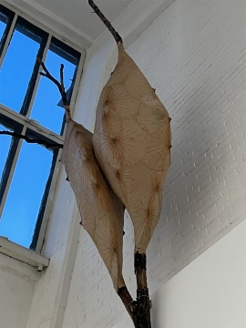 三位藝術(shù)家的作品，爬上星空間的角落、前臺(tái)和木梁之下