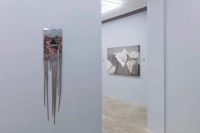 朱日新個展“他者的荒原”，以Y染色體的行動軌跡為暗線的世界景觀,朱日新