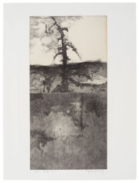 蘇新平《風(fēng)景之一》凹版56×76cm畫芯33×66cm 2019
