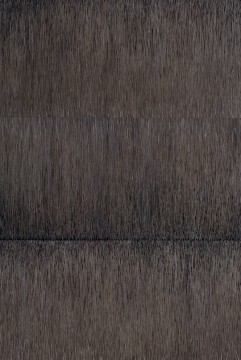 17T80，50x100cmx3panel，布面油畫(huà)，2017
