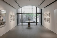 馬斯克、楊致遠青睞的藝術(shù)家，來安縵辦展了！,周青,泰祥洲,阿波,滿宇,丘,太平