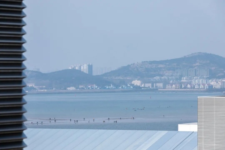 孟憲偉：歡迎來到最美海邊美術(shù)館