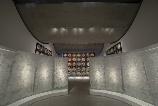 新空間首展！首屆北京藝術(shù)與科技雙年展“合成生態(tài)”在798CUBE開(kāi)幕