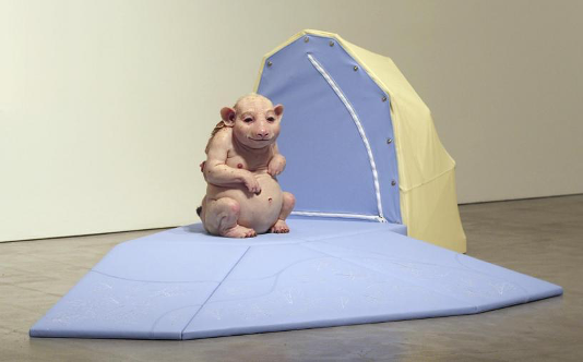 《Surrogate》，派翠西亞·匹斯尼尼，2005年，圖片由藝術(shù)家提供
