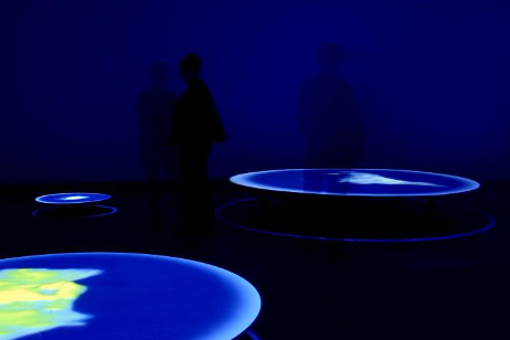 《群體》，特瑞可·哈波亞，2009年，圖片 ? 特瑞可·哈波亞
