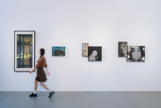 香港中文大學主題群展“水墨更開新象”，中國當代水墨藝術(shù)的一次對話