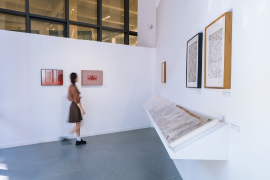香港中文大學主題群展“水墨更開新象”，中國當代水墨藝術(shù)的一次對話