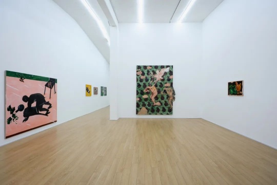 付經巖個展“小心有蛇”展覽現場，墨方Mocube
