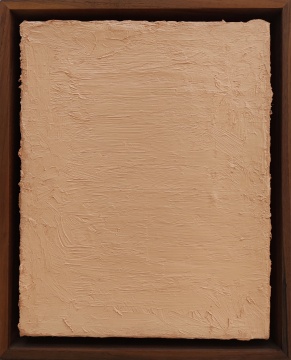 《溫莎牛頓的肉色》30X24cm 布面油畫 2020